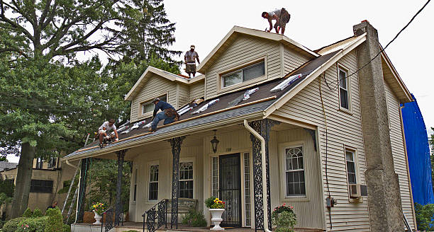 Best Shingle Roofing Installation  in Layton, UT